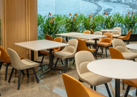 Modern 2026 office environment with ergonomic furniture