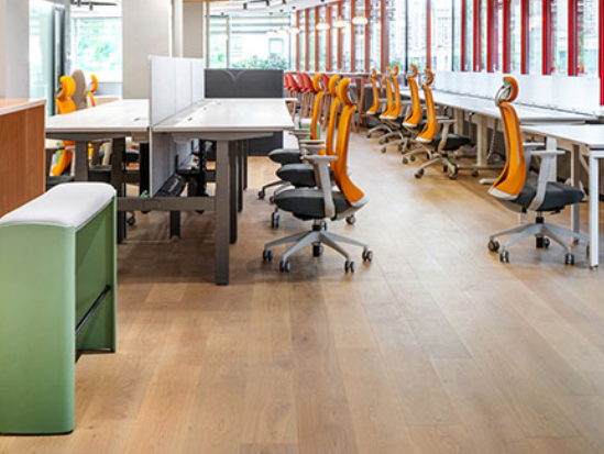 Modern office with rows of ergonomic mesh chairs in a Buenos Aires corporate building